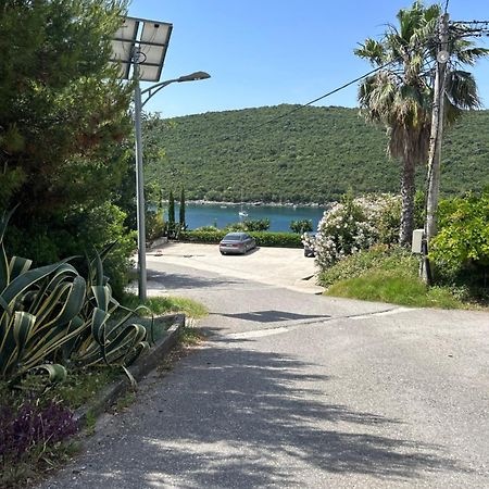 Lazarus Bigova Apartments Tivat Extérieur photo