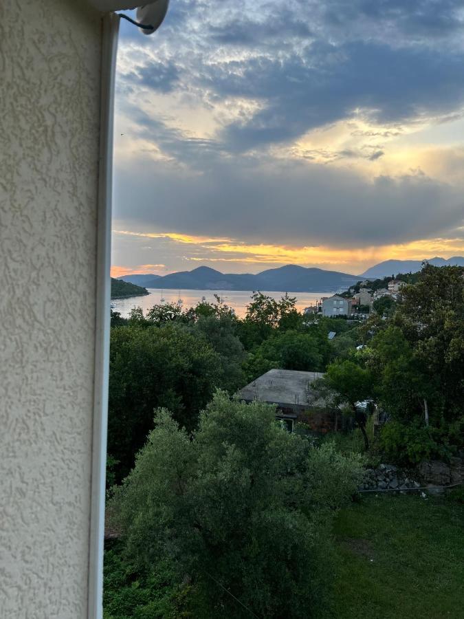 Lazarus Bigova Apartments Tivat Extérieur photo
